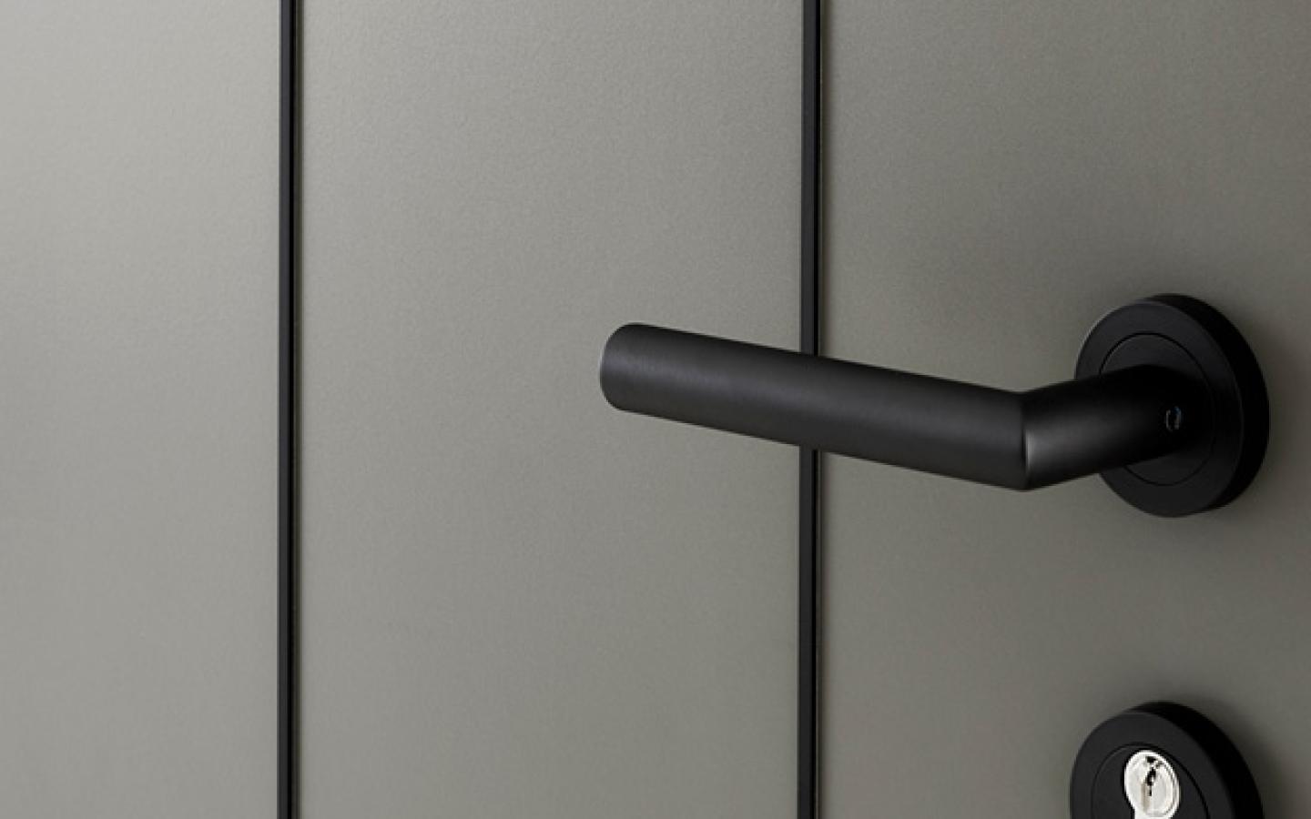 Porte entree zoom Emotion KLINE